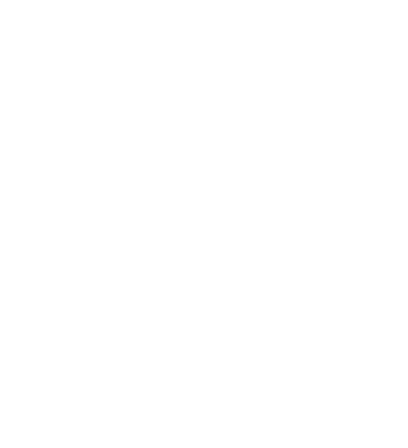 MidZomerMokum